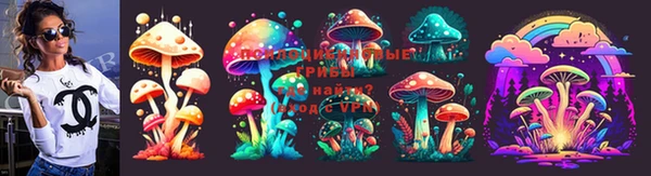 кокаин премиум Вяземский