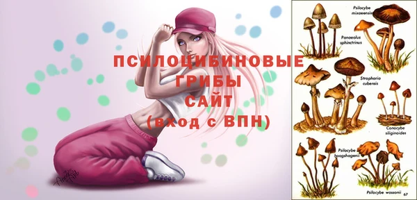 jwh Вязьма