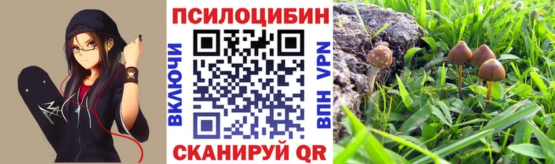 Галлюциногенные грибы MAGIC MUSHROOMS  Владикавказ 